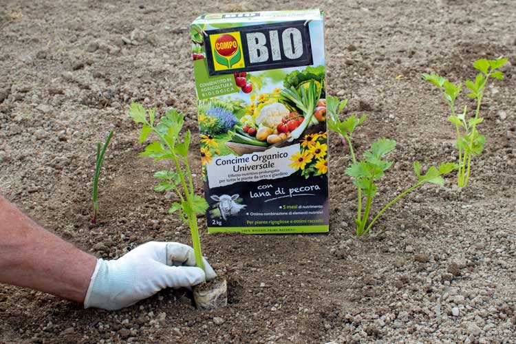 concimi compo bio