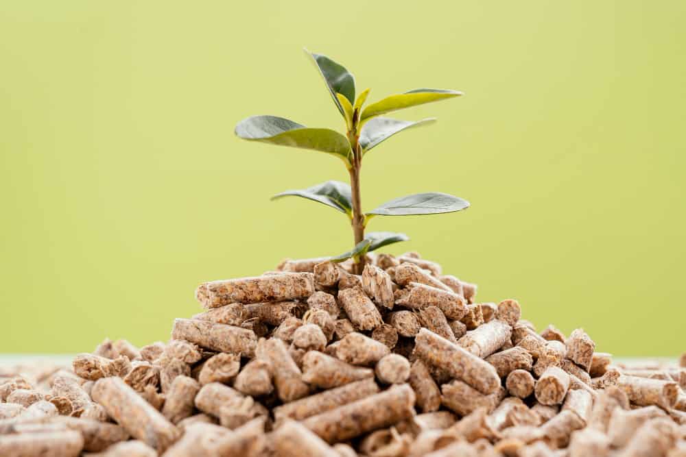 pellet brucciolo per riscaldamento