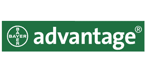Advantage : 
