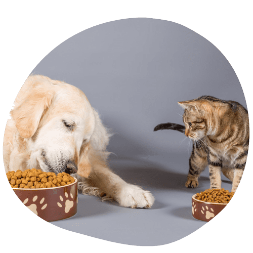 alimenti per animali